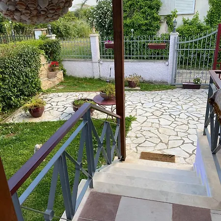 Niki's House