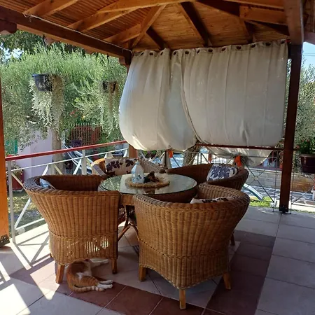 Niki's House בית נופש אפאנומי