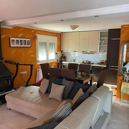 Niki's House *