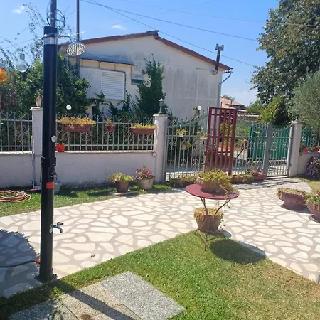 Niki's House *