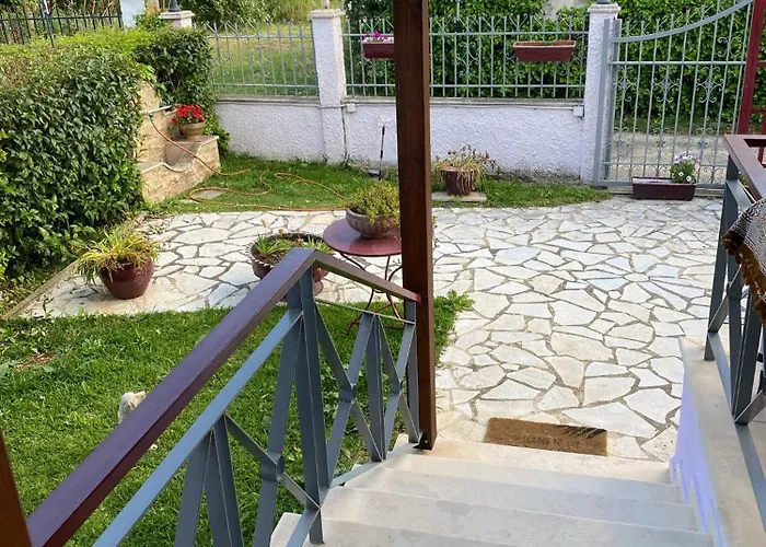 Niki's House