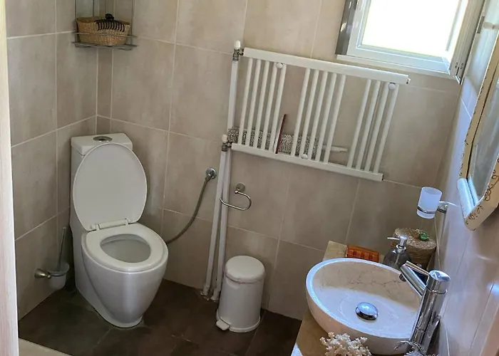 度假居 Niki's House 埃帕诺米