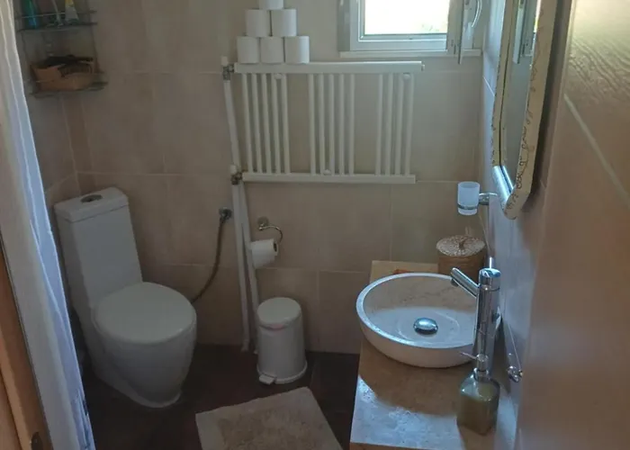 Niki's House * 埃帕诺米